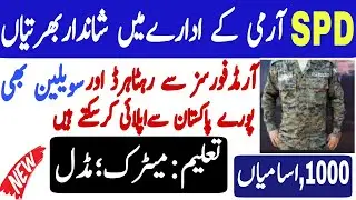 New Job Strategic Plans Division (SPD Force) Jobs 2022,