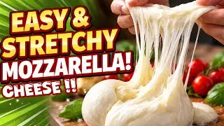 How to Make Perfect Mozzarella Cheese at Home|Super StretchyHomemade Mozzarella Cheese| save money 🤑