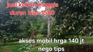 #jual kebun mnggis duren pete sudah ber buah semuah tnah bgus iyah luas 1500 mtr akses mobil 
