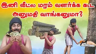 Cutting a tree in our homes is illegal? | Forest Day | வீட்ல இருக்க மரத்த வெட்டுனா கூட ஜெயிலா?😱