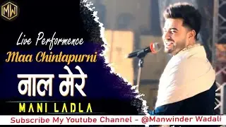 Maa chintapurni naal mere Live | Mani Ladla Jagran2024 #shortvideo #youtubeshorts #jagran #music