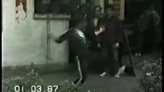 FU ZHENSONG XINGYI BASHI QUAN