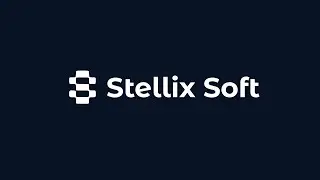 Client Success Story: How Stellix Soft Transformed Our Software Development
