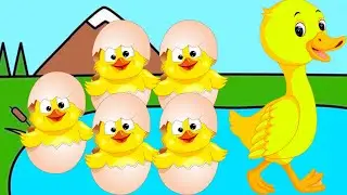 Five Little Ducks | #5littleducks Nursery Rhymes | Kids Songs | @KidPreps