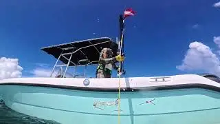 Pesca submarina 2024