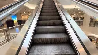 Schindler 9300 Double-File Escalators ~ Macy’s - The Falls ~ Kendall, Miami, FL