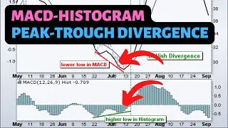 Peak-Trough Divergence in MACD Histogram | Trading Course