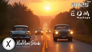 BASS DROP HITS 2025 🎶 DRIVING BEATS 2025 🎶 HEAVY BASS MIX FOR CARS