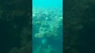 Glass bottom boat 