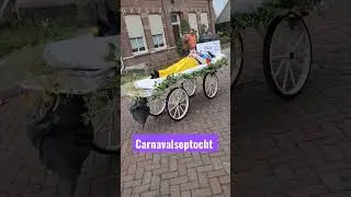 Carnavalsoptocht In The Netherlands 5 #carnaval #carnaval2023 #carnavalsoptocht #shortvideo #shorts