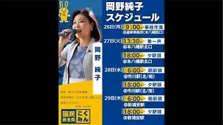 【急遽LIVE】市川駅にて演説