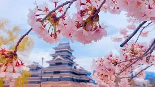 Death Poems - Japanese Samurai and Bushido (PART 1)