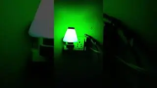 fancy bulb 💡💡