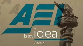 AEI is an idea