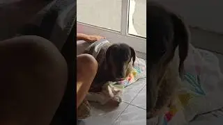 КОРОЛЬ ОЧЕНЬ БОЛЕН 😢