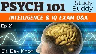 Intelligence Theories & IQ Tests - Exam Questions