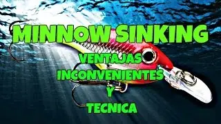 Barracudo- Minnow Sinking (ventajas, inconvenientes y tecnica)