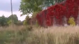 Dariusz Kwiacień-Stacja Olech&oacute;w