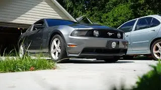 After 2 years, Mustang is BACK in the STREETS!!!