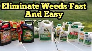 How To Get Rid Of Spring Weeds Fast