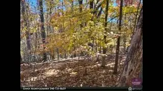 Berkshire Hathaway HomeServices Smith Mountain Lake Real Estate - Lot 48 Gap Bridge RD