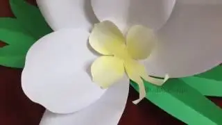DIY Giant Paper Orchid