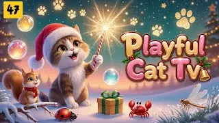 Playful Cat TV &ndash; Cat Games That Turn Screen Time Into Smart Feline Fun