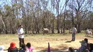 lds youth trek magic skit