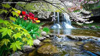 Meditation Music &ndash; Peaceful Garden Lake With Waterfall & Blooming Flowers