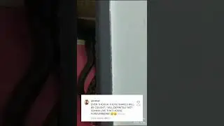 Snakes Fall Out Of House Ceiling 🥴|#shorts|#trending|TNM |