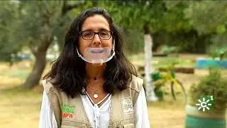 “Bosque Escuela Cuna” en Espartinas (Sevilla), escuela al aire libre de educación infantil