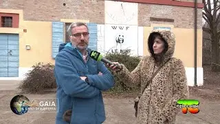 Gaia, il libro della Terra: viaggio nell&rsquo;oasi WWF &ldquo;Le Bine&rdquo; di Calvatone (MN) 17.02.2022