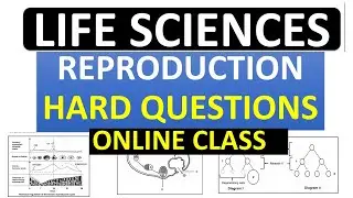HUMAN REPRODUCTION, HARD QUESTIONS ,  LIFE SCIENCES  GRADE 12  LIFE SCIENCES  GRADE 12 [THUNDEREDUC]
