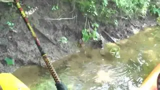 Kayak Float on the Maury River