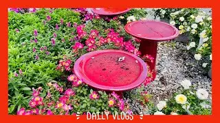 A Quick Video|WaterFall|BirthBath|Slime|VEDA2022