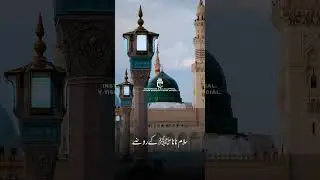 28 Rajab Status | Rawangi e Mola Hussain a.s | Madina | Karbala | Shia whatsapp status official.