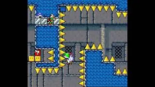 Blind Kaizo Race - Week 120 Level by Stay At Home Stegosaurus