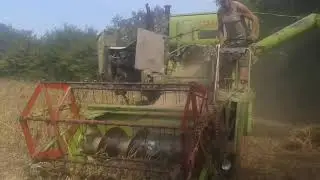 Claas Columbus- Tulež Soja (Soya) 2018