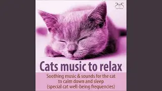 Healing Music for Cats: Dreamlike Melodies, Forest Sounds for Falling Asleep