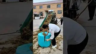 Innovative composting: tea leaf waste management