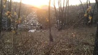 VID 20111103 183549