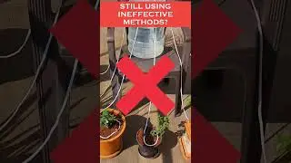 Water Your Plants While On Vacation | #shorts #selfwateringsystem