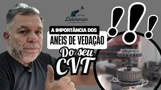 A Importância Crítica dos Anéis de Vedação na Transmissão 09G