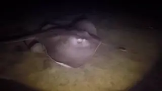 Night Dive & Big Fish Dive center Tenerife