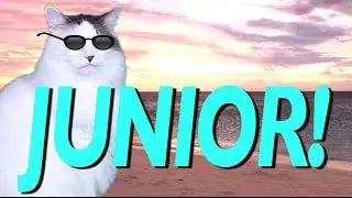 HAPPY BIRTHDAY JUNIOR! - EPIC CAT Happy Birthday Song