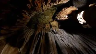 Luray Caverns Cave Tour, Luray, Virginia 22835