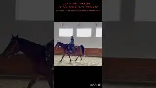 First video on a different editing app since CC got banned
