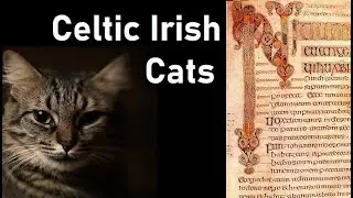 Celtic Irish Cats