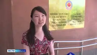 Вести Калмыкия. Дневной выпуск от 30.06.2022