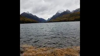 Fall Musings